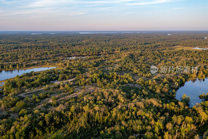 黄昏时的Muskoka Torrance Barrens Dark-Sky保护区，Gravenhurst，加拿大